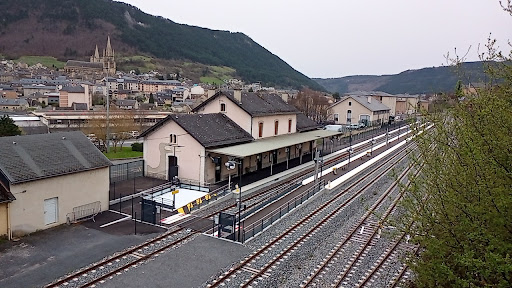 Mende - Visual