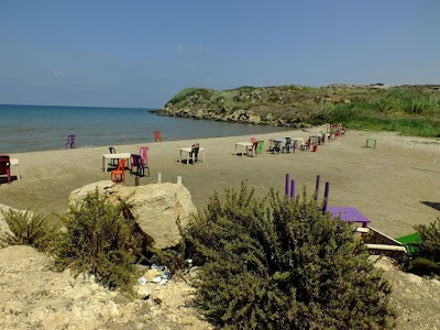 Photos of Ein Elborj Beach