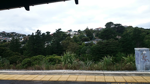 Crofton Downs Station - Thumbnail