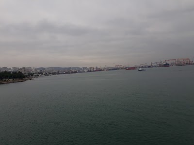 DFDS Pendik Limanı