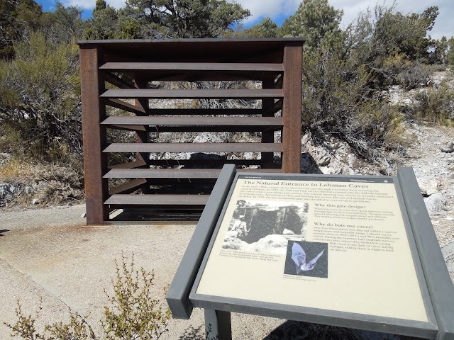 Lehman Caves