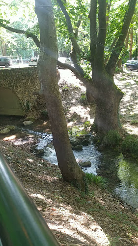 The Bella Garden