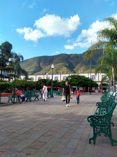 Autotransportes Chapala - Thumbnail
