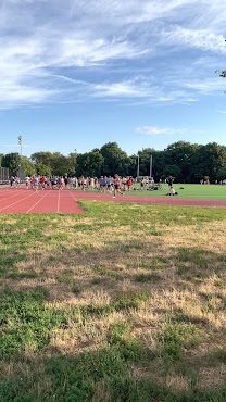 McCarren Park by null