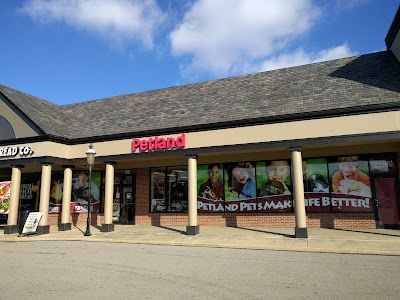 Petland Village of East Side