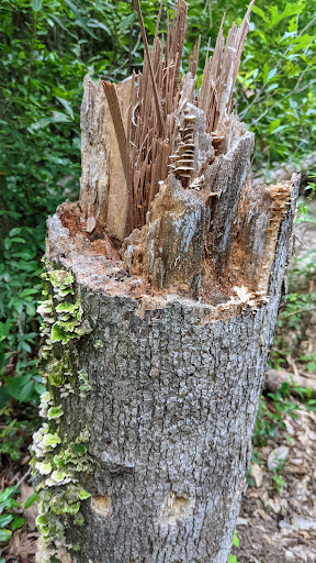 Big Indian Creek Waterway Trails - Thumbnail