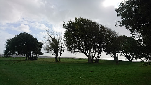 Highdown Hill - Visual