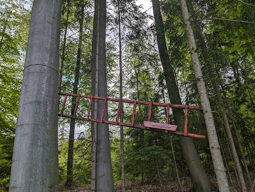 Schlangen Pfad - Thumbnail