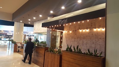 Photos of Muriel Caf&eacute; Arkadia