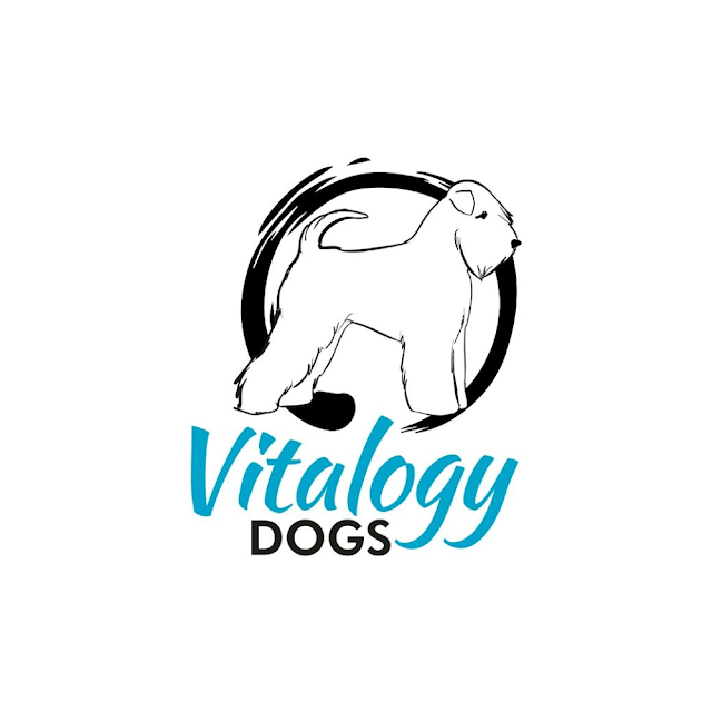 Vitalogy Dogs
