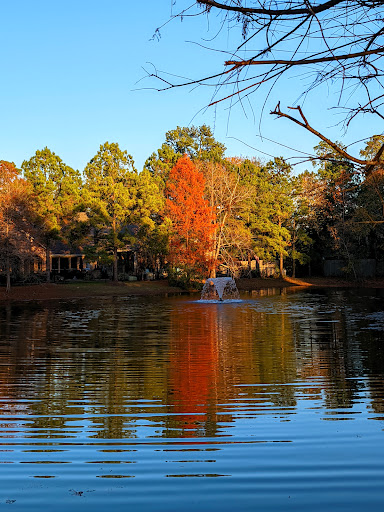 Mason Pond Park - Thumbnail