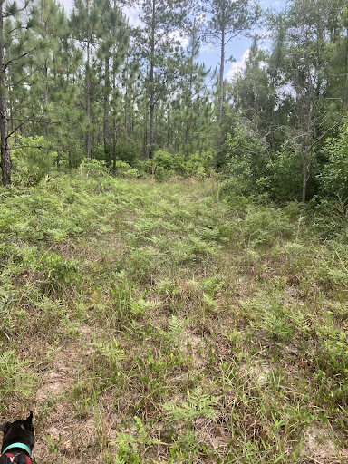 Otto Hill Recreation area - Thumbnail