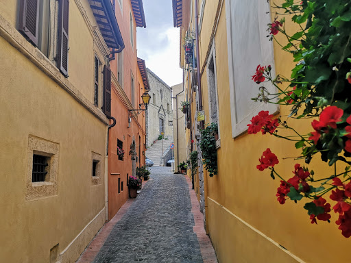 Oratorio delle Santissime Stigmate XIVsec.