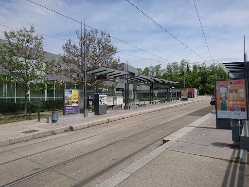 Europe - Université - Thumbnail