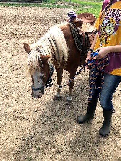 Bunker Park Stables