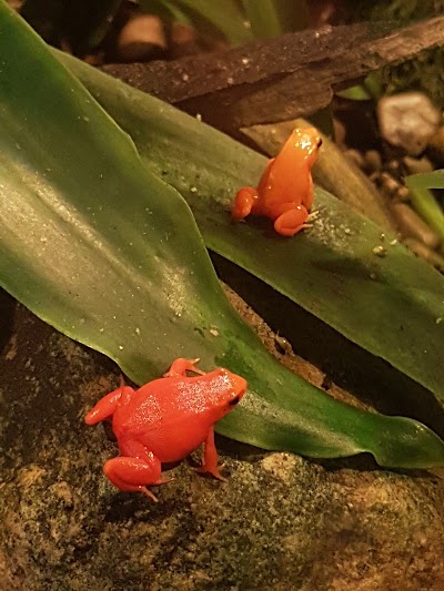 National Amphibian Conservation Center