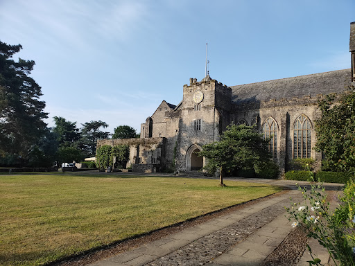 Dartington Arts - Thumbnail