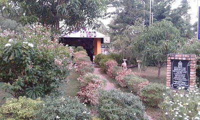 Photos of Childrens park