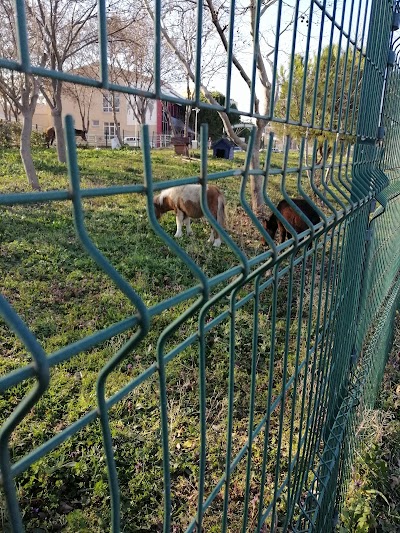 Istanbul Univ. Animal Hospital