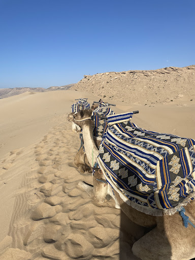 Agadir Explorer Tours | Top-Rated Agadir Excursions & Day Trips