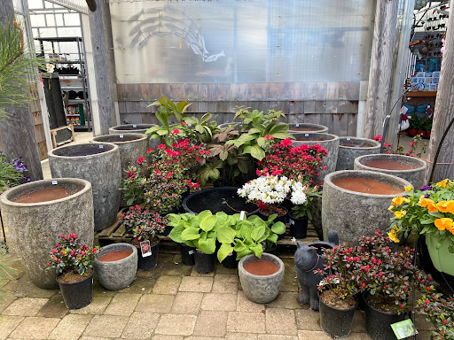 Paradise Plants Garden Centre - Thumbnail
