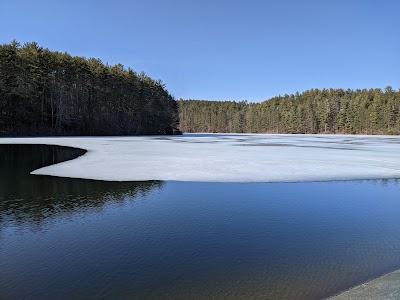 Brattleboro Watershed Forest