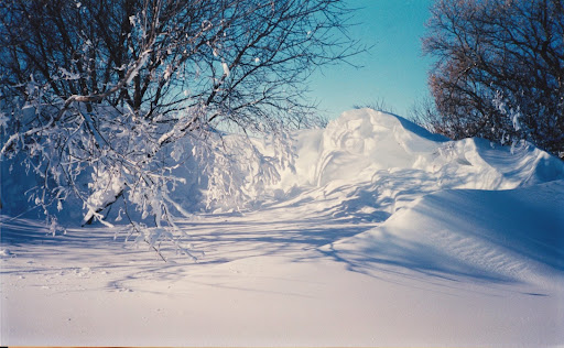 Buffalo Creek Art Studio Gallery - United States