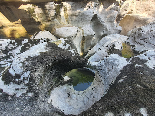 Le long de la rivière - Thumbnail