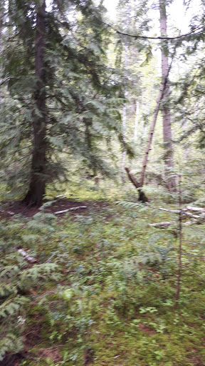 Coyote Park, Salmon Arm , BC - Thumbnail