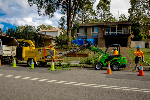 Able Tree Services - Thumbnail