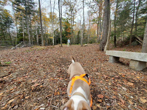 Meadow Woods Preserve Off Leash Dog Area