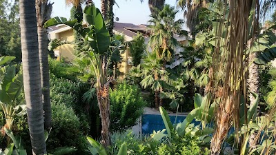 Photos of Hotel Borgo Verde