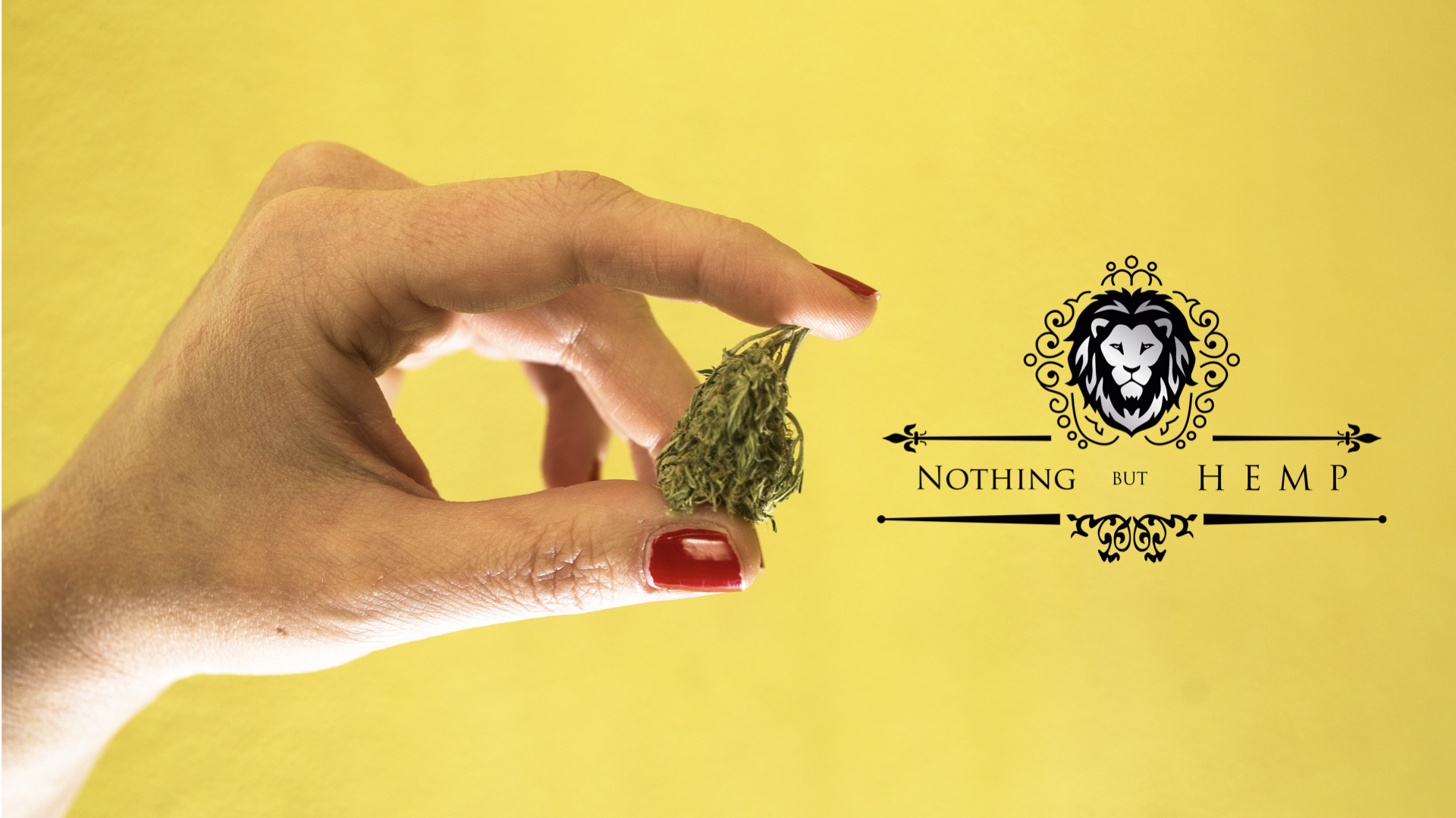 Nothing But Hemp Orlando photo 4