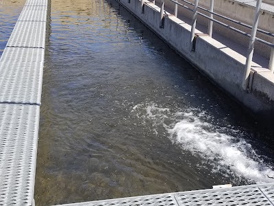 Warm Springs National Fish Hatchery Visitor Center