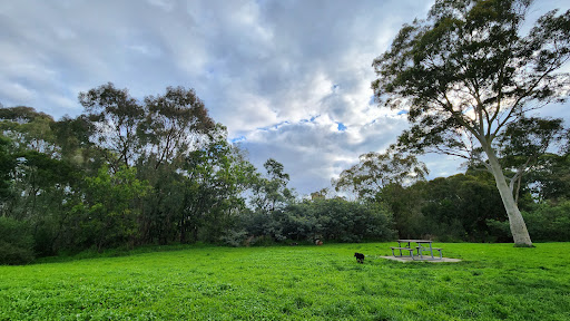 Merri Park - Thumbnail