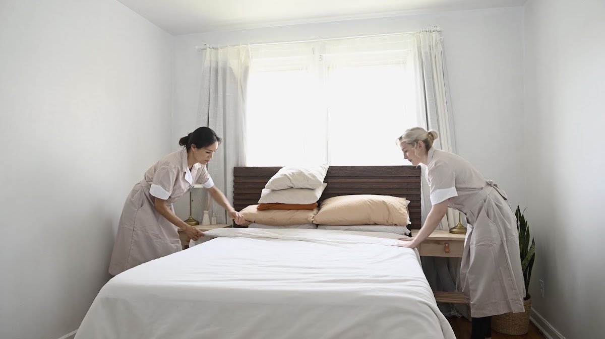New Look Cleaning |Cleaning Services in Taunton|Exeter|Wellington|Tiverton