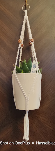 Smiling Succs - Visual