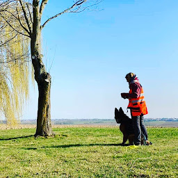 Photo n°15 de Le chien d'une vie à Hochstett (Dresseur pour chiens)