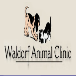 Waldorf Animal Clinic