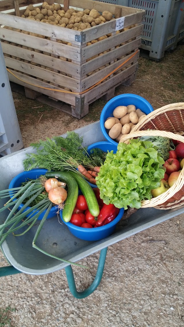 Cueillette à la ferme