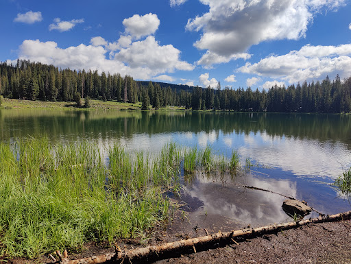 Cobbett Campground - Thumbnail
