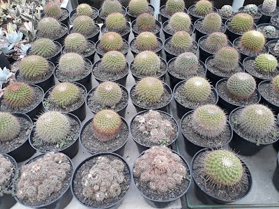 Photos of Kios Bunga Barokah