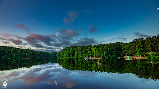 Camp Mac - Visual