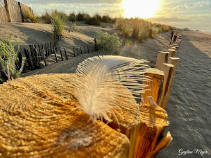 Photo n°34 de Agence immobilière IAD - Sophie Zimmermann à Pérols (Expert immobilier)