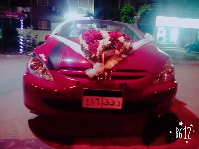 Photos of Shafey Cars