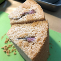 みんなのコッペ