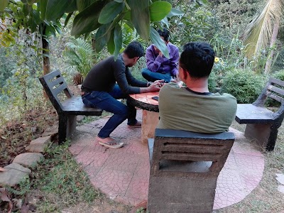 Photos of Forest Hill Resort