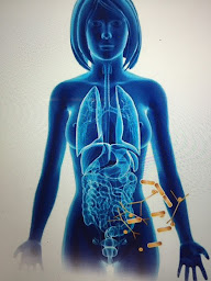 Photo n°18 de Marie-Laure NAGELEISEN - Nutritionniste Naturopathe à Paris (Naturopathe)