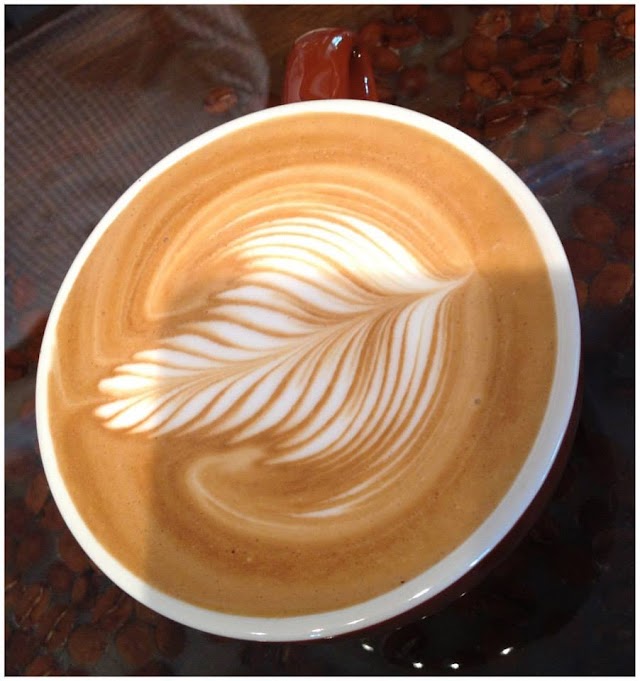Buona Caffe Artisan Roasted Coffee