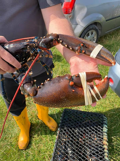 Uist Shellfish - Visual